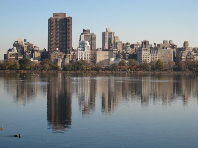 Reflections of the Upper East Side