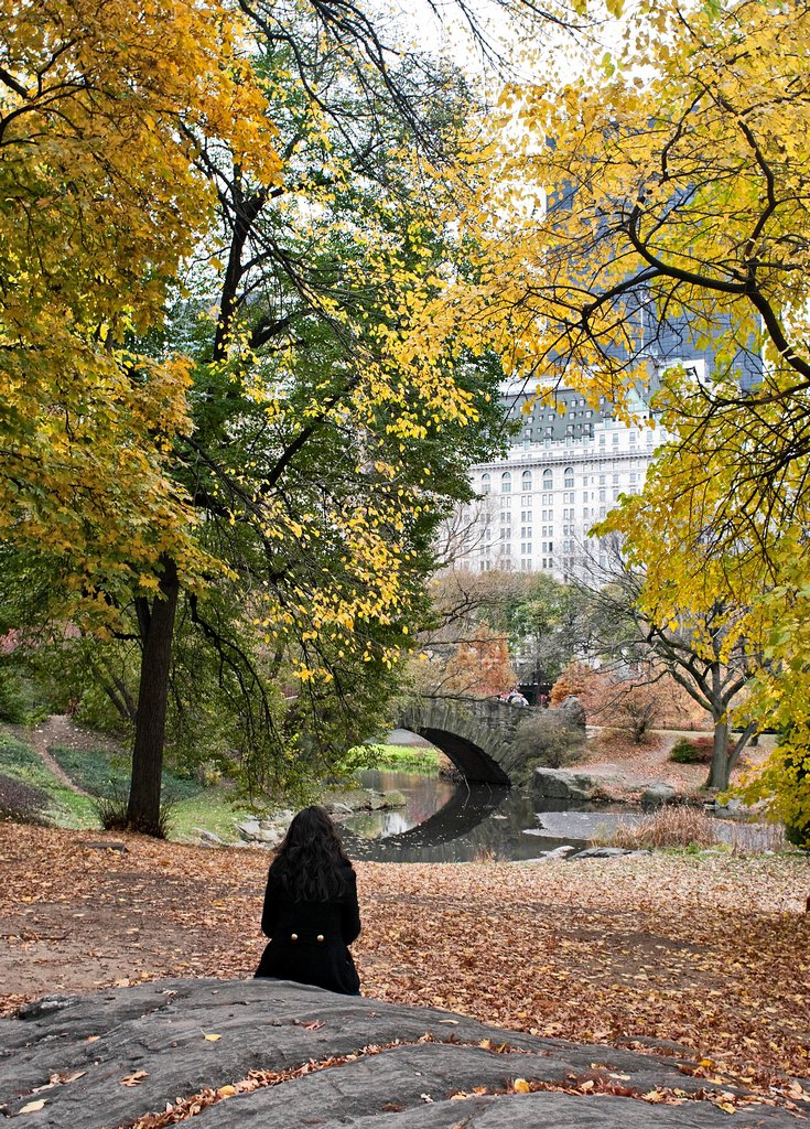 A Fall Day in Central Park