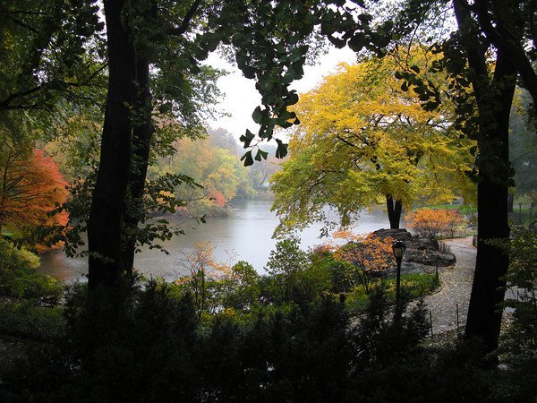 a rainy fall day in Central Park