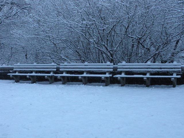 Benches in the snow