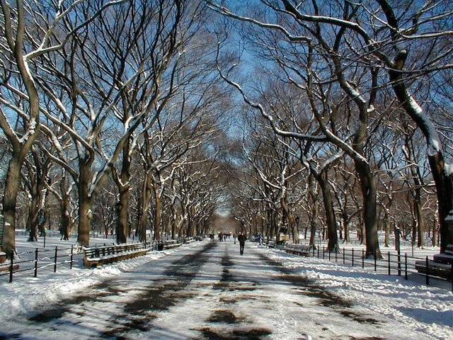 Blue Sky Sunday on the Mall