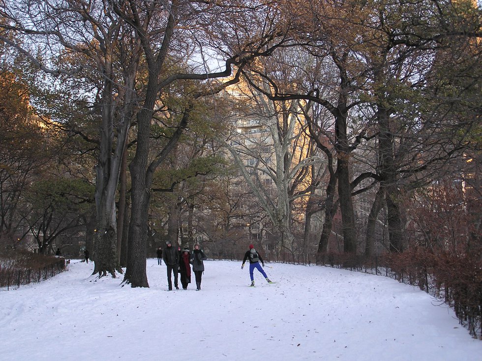 Skiing in the Park