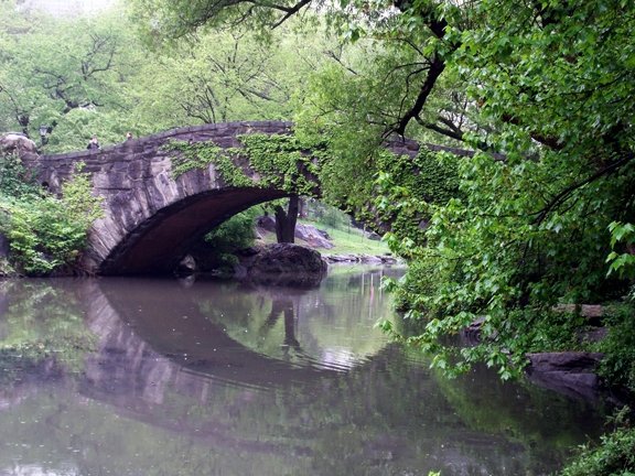 Bridge on the Pond