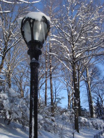 Narnia in Central Park