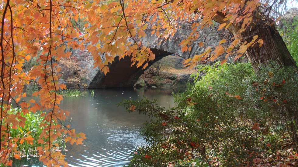 The Bridge in fall.