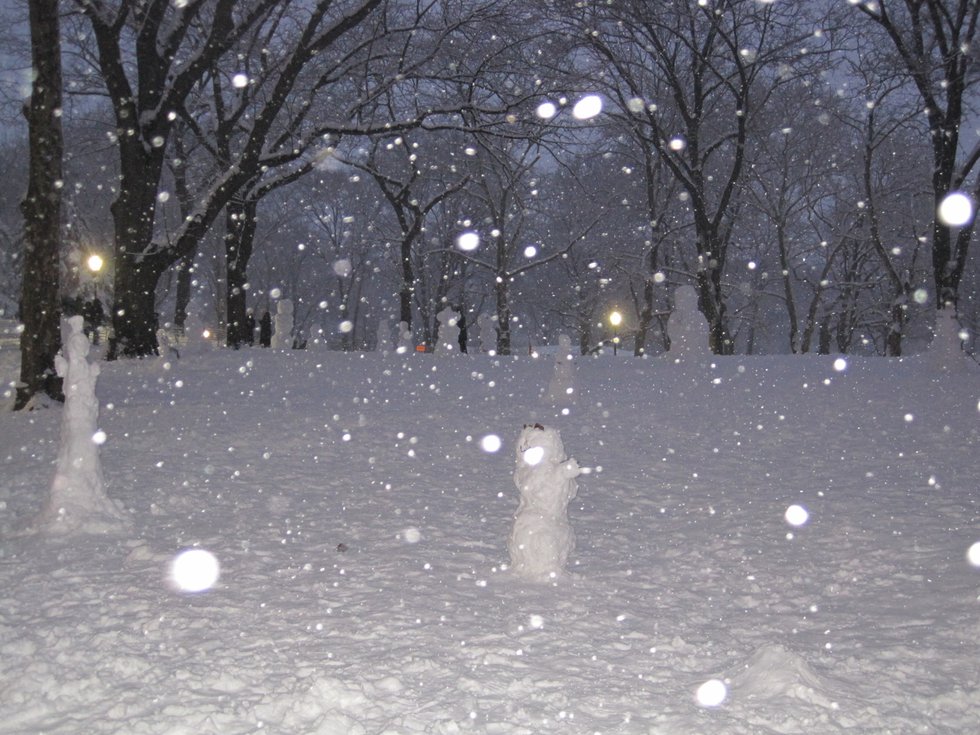  Magical world of snow people