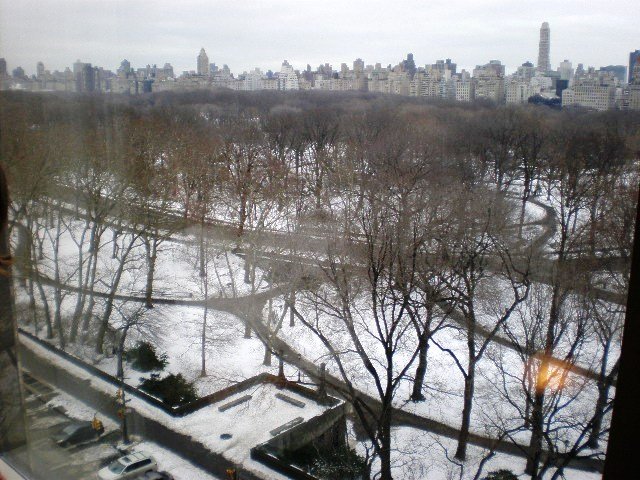 Central Park at a snow time!