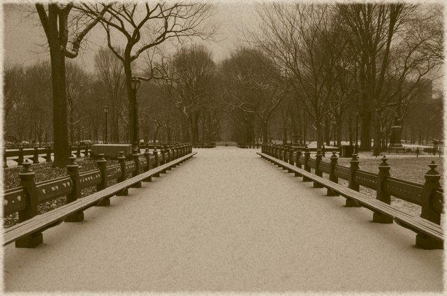 Classic Central Park