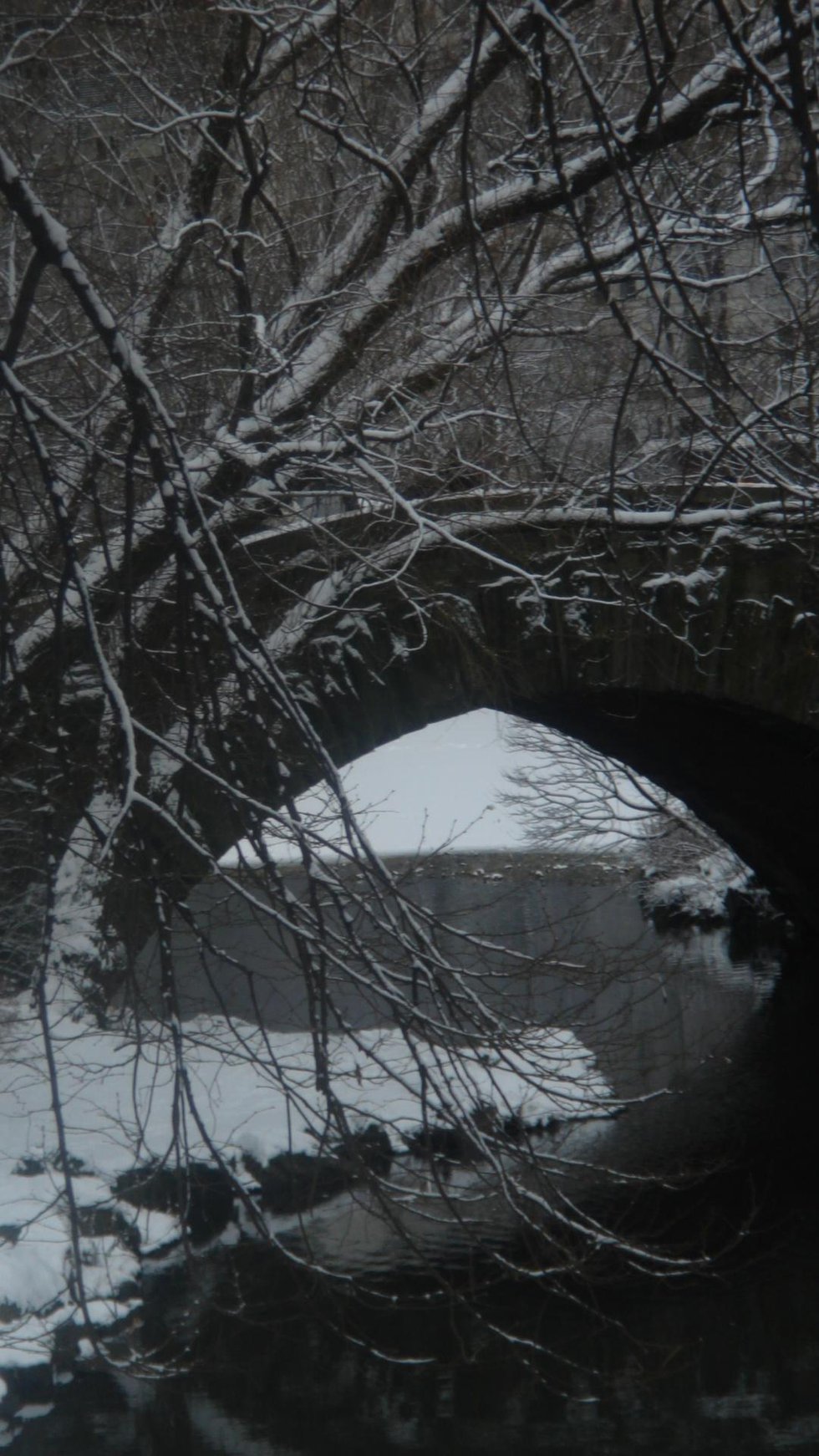 Winter Gapstow Bridge