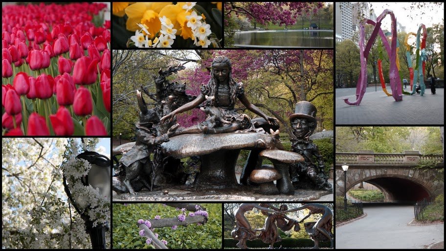 A day in Central Park!