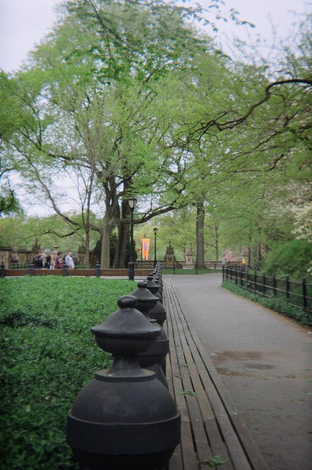 First time visit Central Park