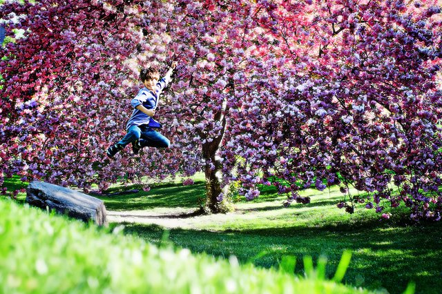 Jump into Spring