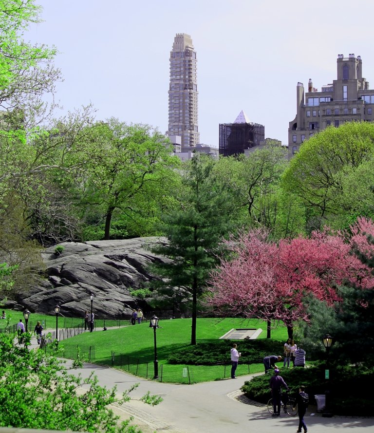 Photo entry: beautiful Spring day for a stroll