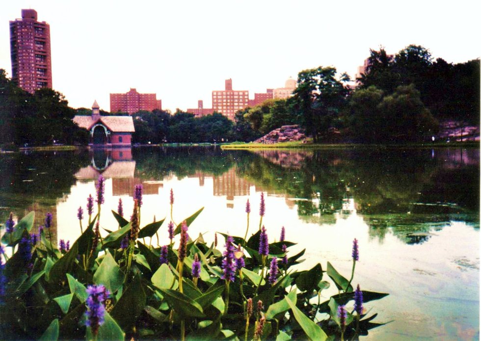 Harlem Meer from the West~Funky Colors