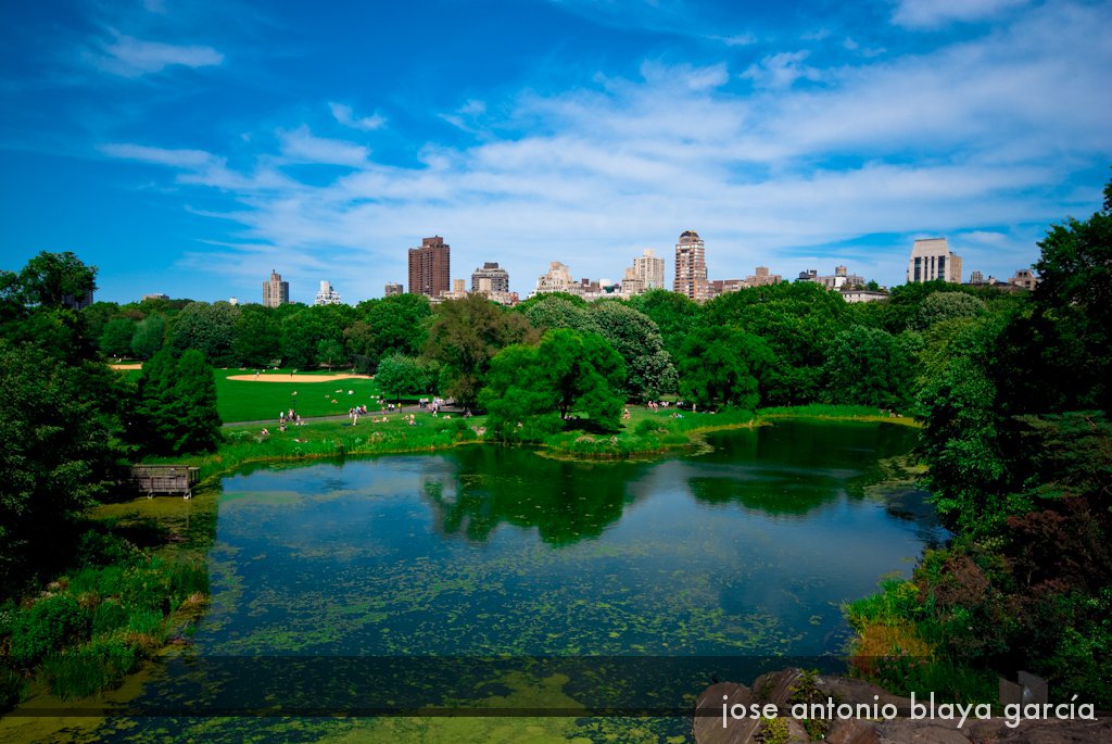 Photo entry: Central Park
