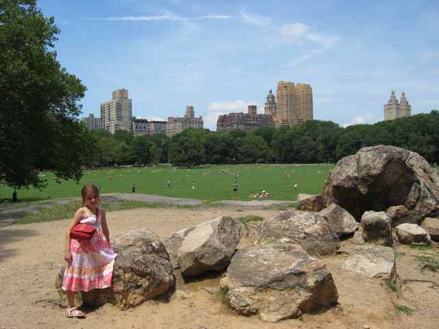 Sunny Day in Central Park