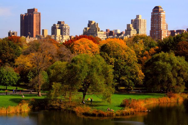Best Fall Photo Spots in Central Park