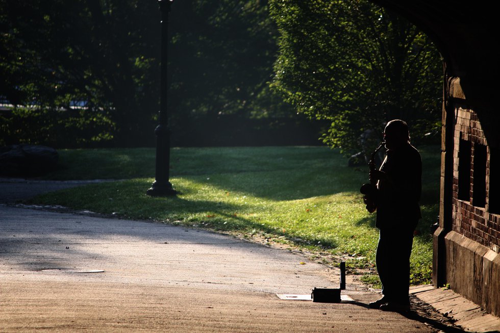 The Soloist..Central Park.New York..