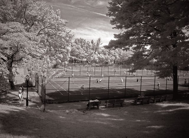 5New York Central Park004.jpg