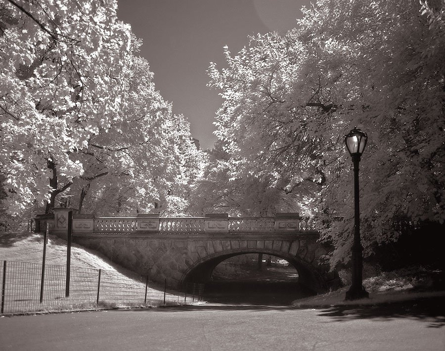 10New York Central Park008.jpg