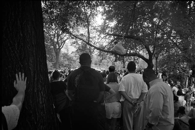 Listening to the Dahlia Lama in Central Park