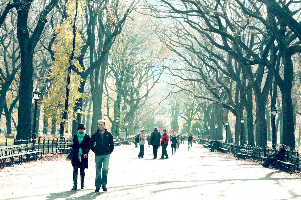 Photo entry: Strolling the Mall in Fall