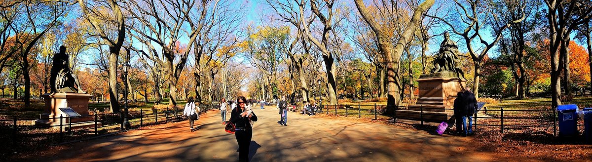 Photo entry: fall at the mall