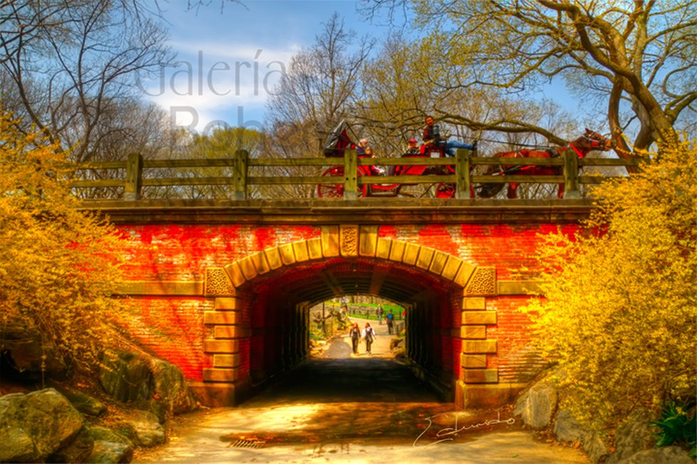 Willowdell Arch Bridge- Spring is in the Air..