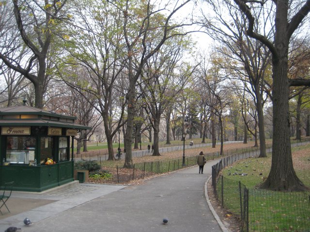 Entering the Park