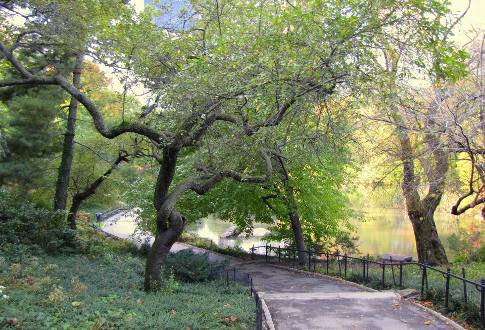 Southe Central Park