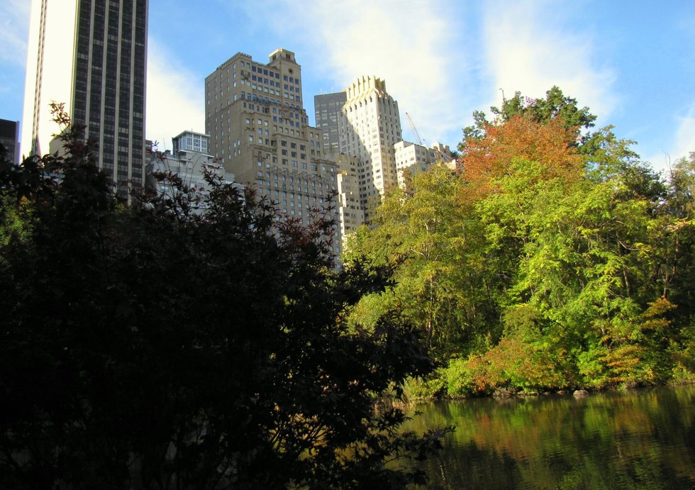 South Central Park