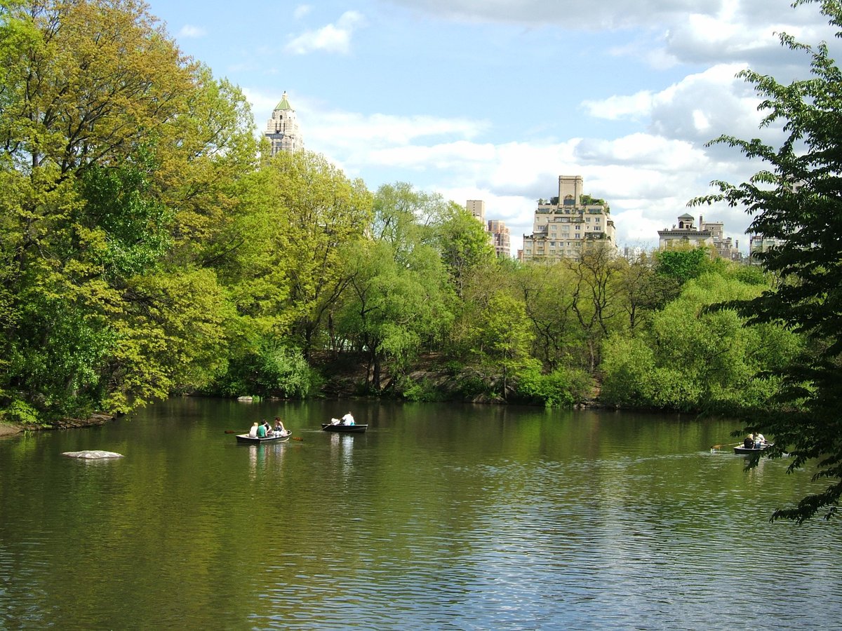 Photo entry: Canoeing in Central Park