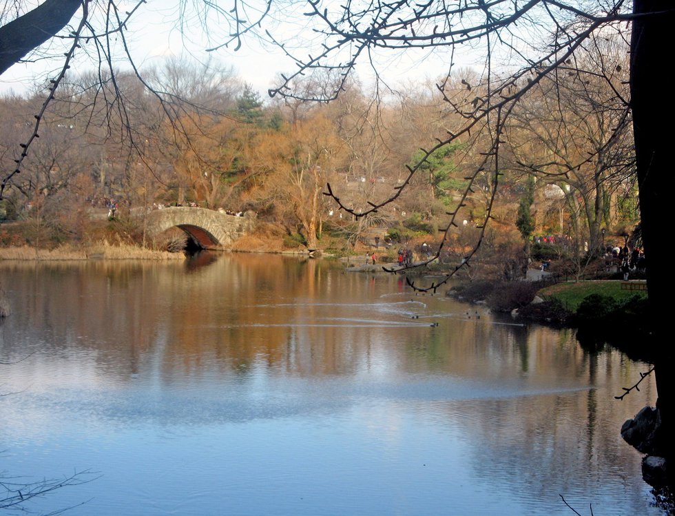 Central Park - Pond