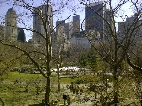 Photo entry: First spring-like day in 2012