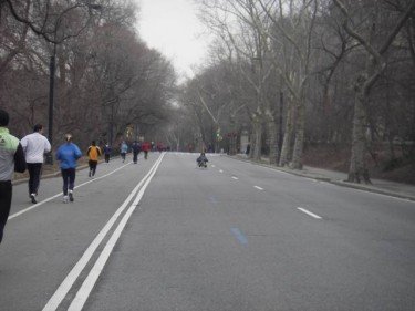 New Yorker in Central