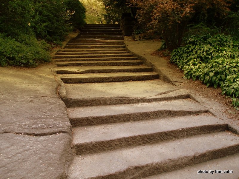 Stairway to the Shakespeare Garden