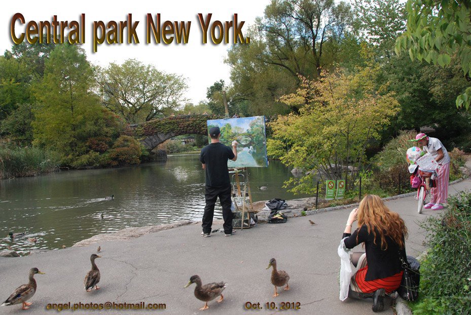 Painting on Central Park
