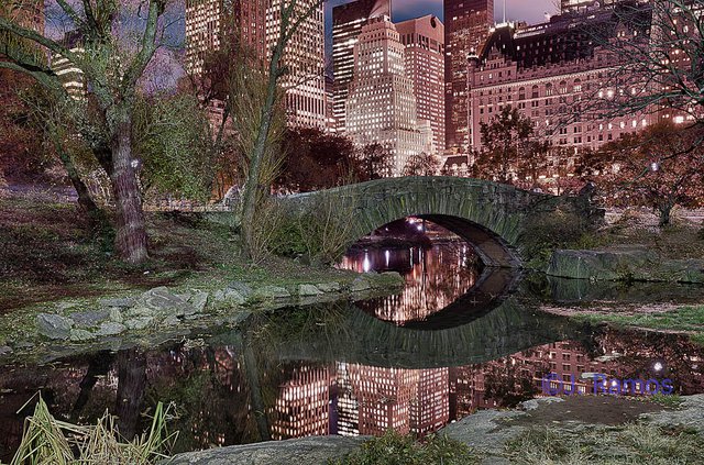 Central Park at Night