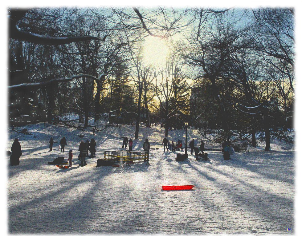 Central Park, Snow, Sunset, and a Red Sled