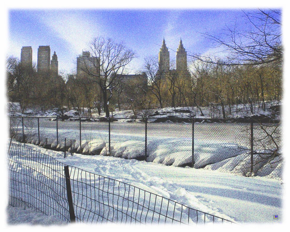 Central Park in Winter 2