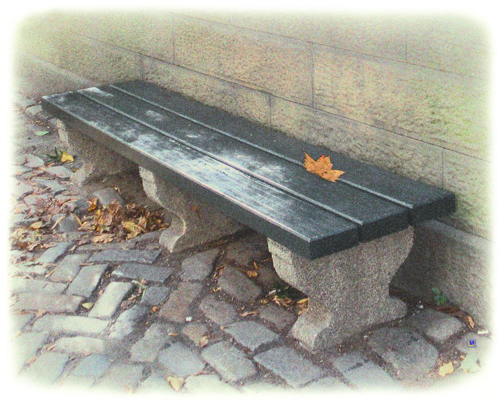 central Park Bench