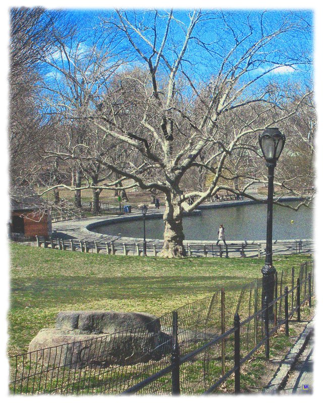 Central Park in April 1