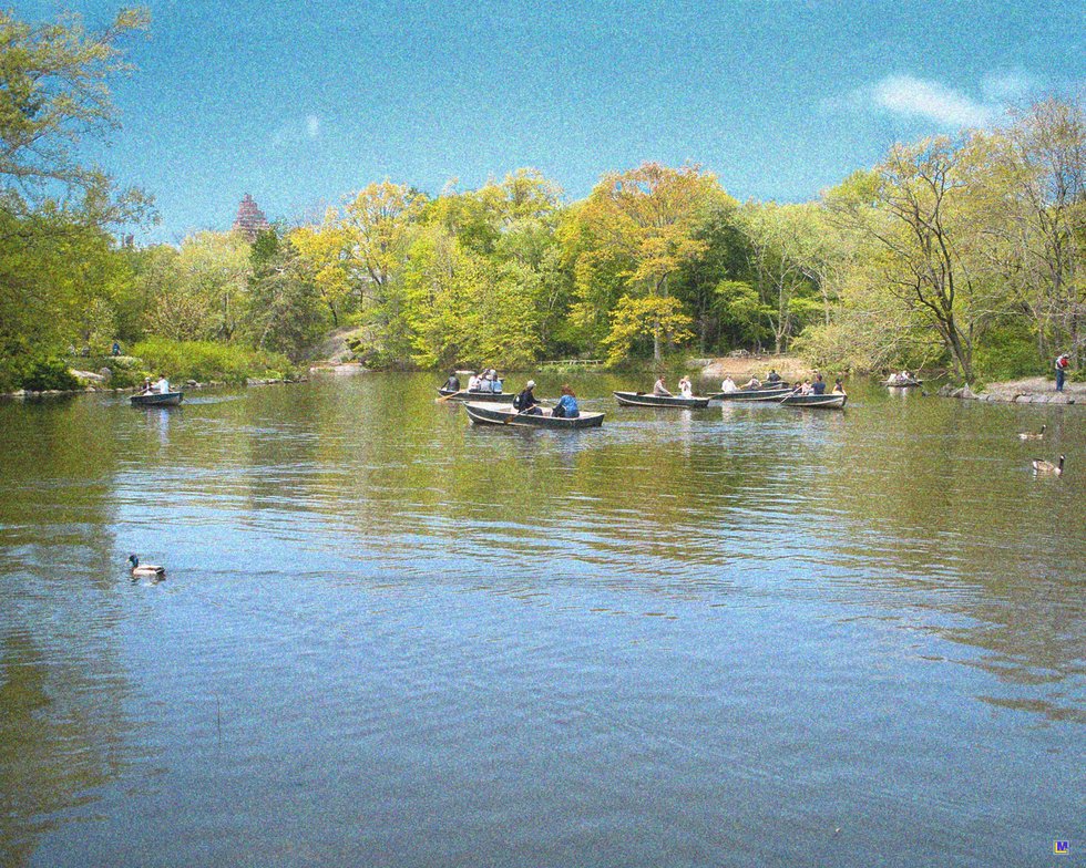 Central Park in May 1