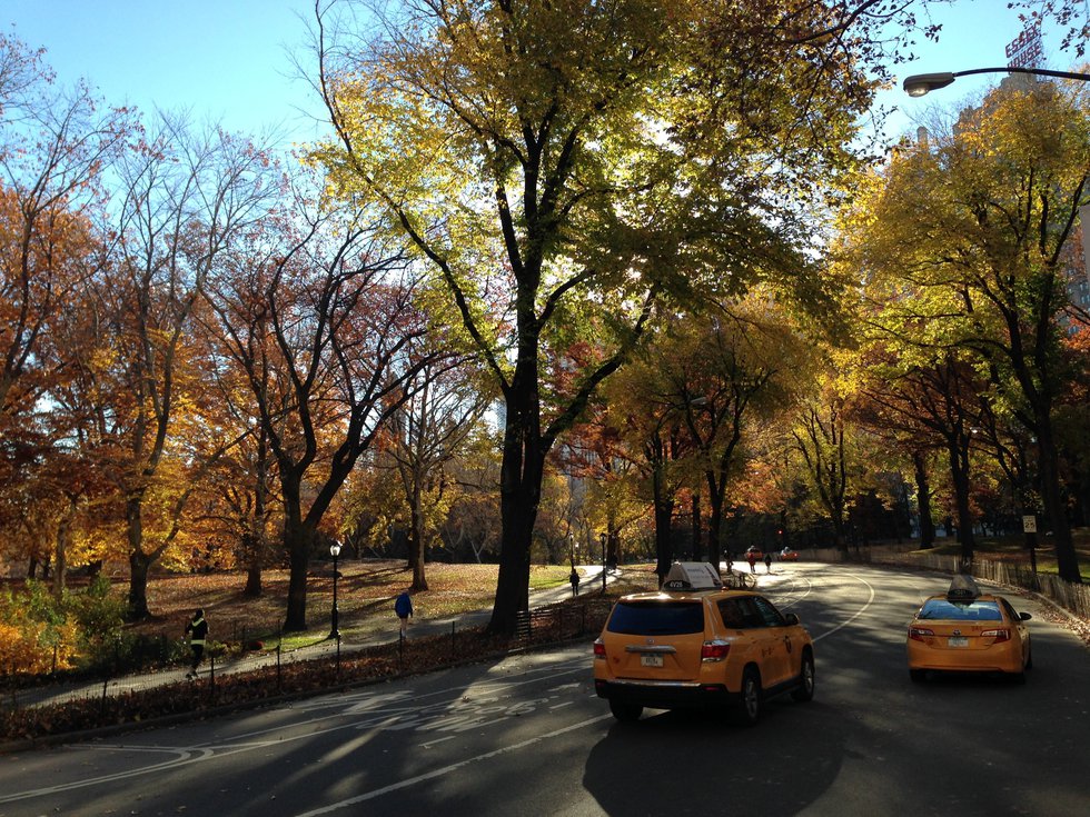 Central Park November 2013