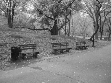 Empty Benches