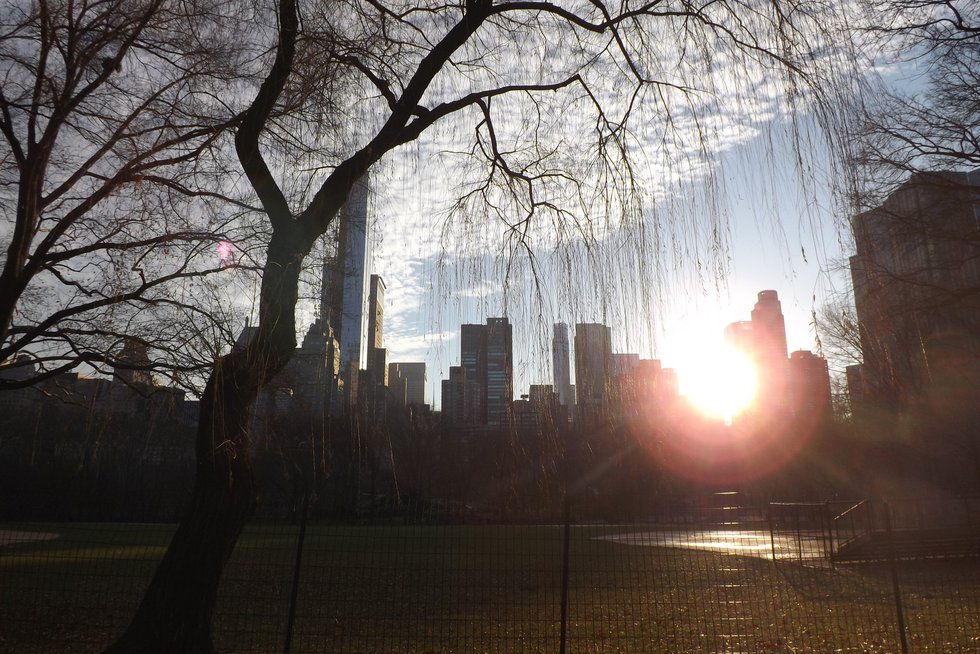Winter Solstice in Central Park