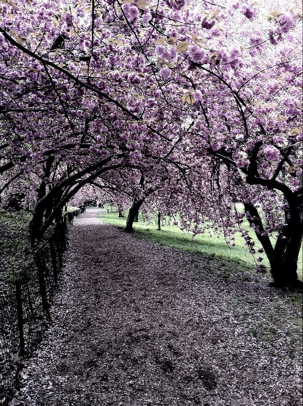 Photo entry: One Week