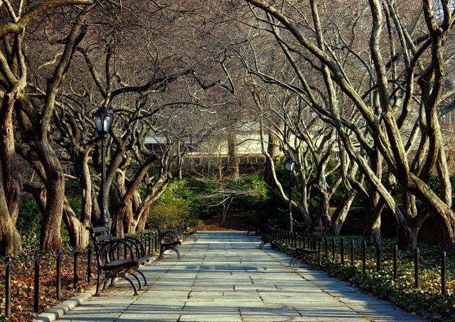 Central Park Conservatory Gardens