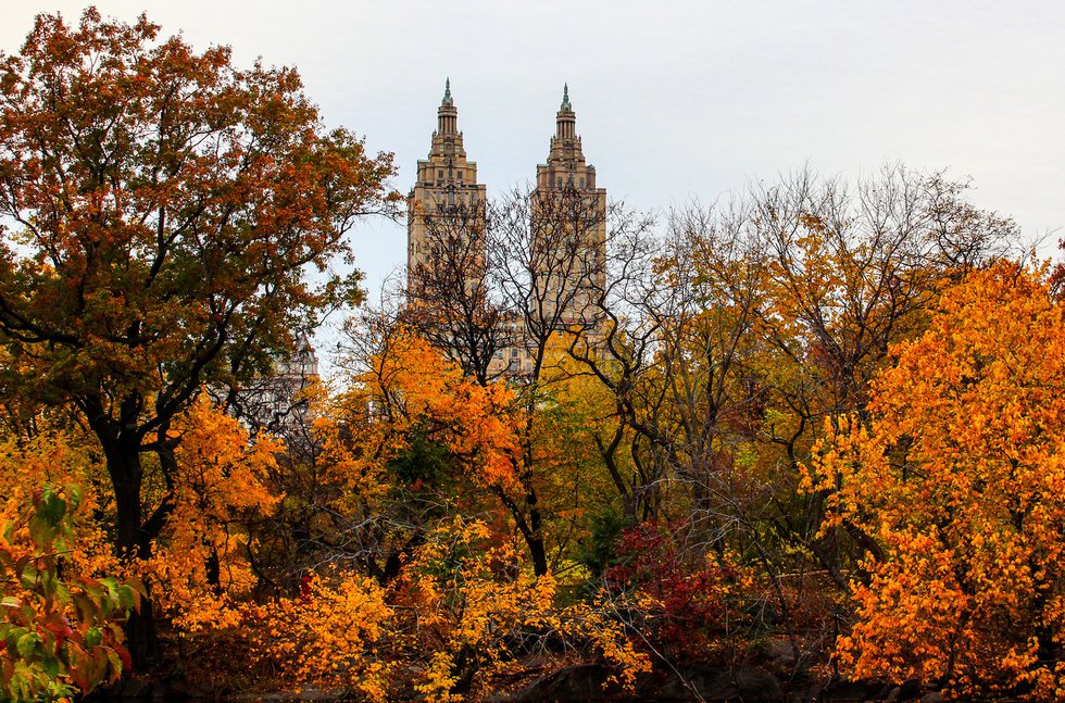 Central Park in Autumn