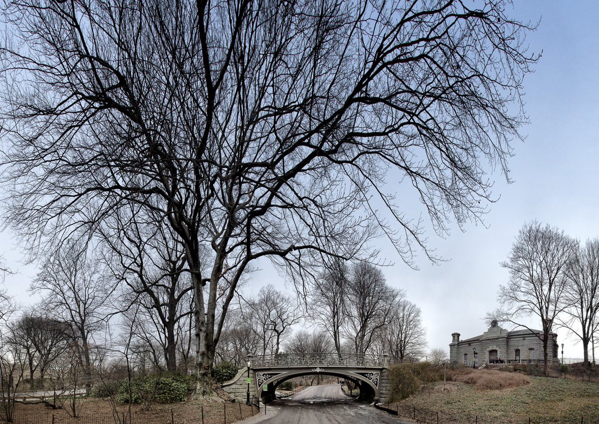 Photo entry: Tree and Reservoir Giga